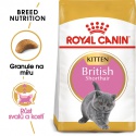 Royal Canin British...