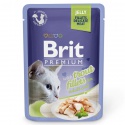Brit Premium Cat Trout...
