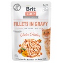 Brit Care Fillets in Gravy...