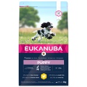 Eukanuba Puppy Medium Breed...
