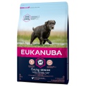 Eukanuba Senior Large Breed...