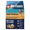 Ontario Dog Adult Medium...